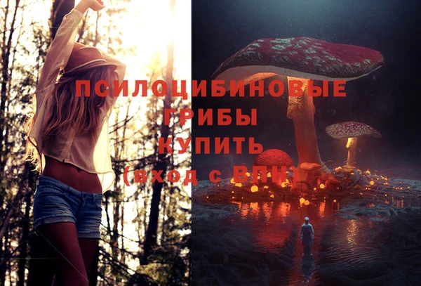 метадон Дмитриев